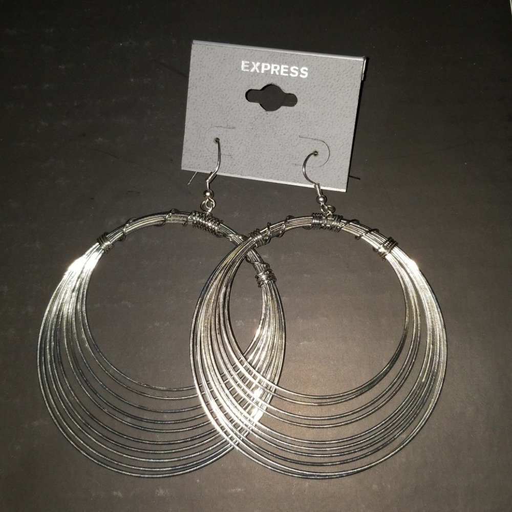 NWT Express earnings